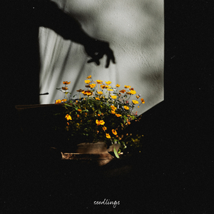 欧美老肥逼逼网WWBB网
