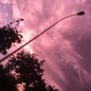 欧美老肥逼逼网WWBB网
